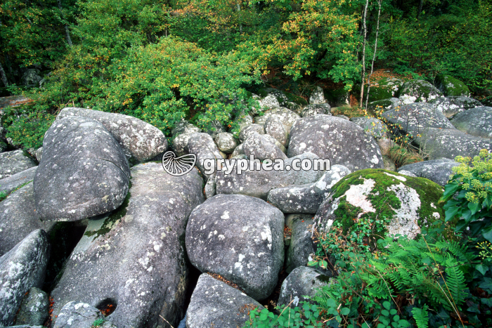 Chaos granitique (Massif Central) - gryphea.org